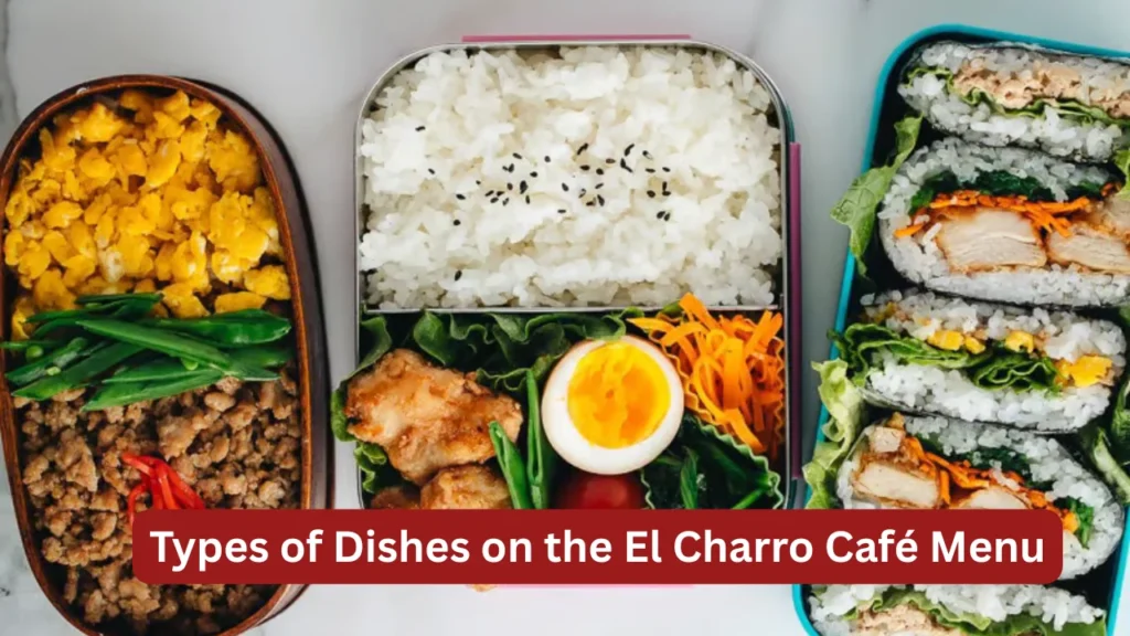 BENTO Menu and Types of Dishes