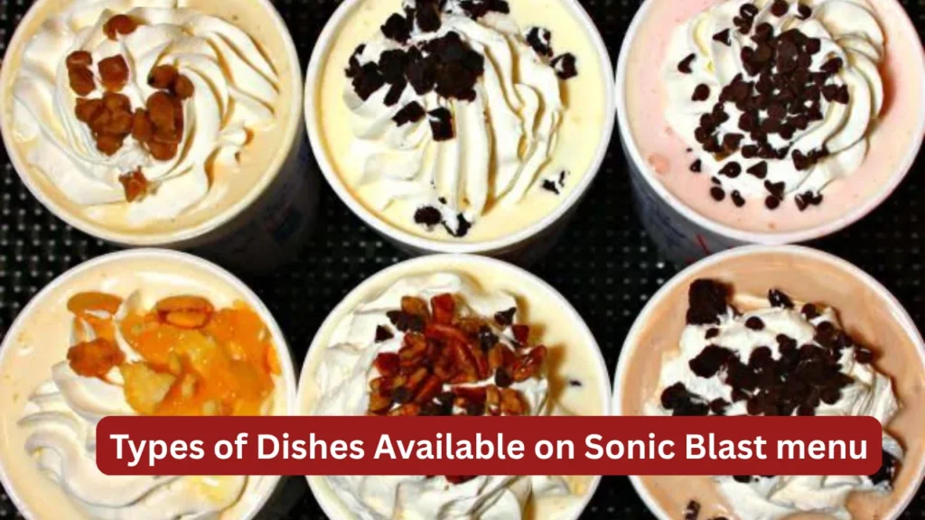 Types of Dishes Available on Sonic Blast menu