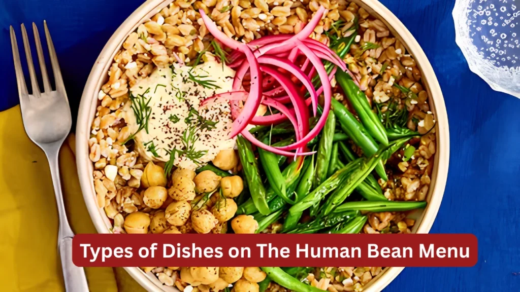 Types of Dishes on The Human Bean Menu