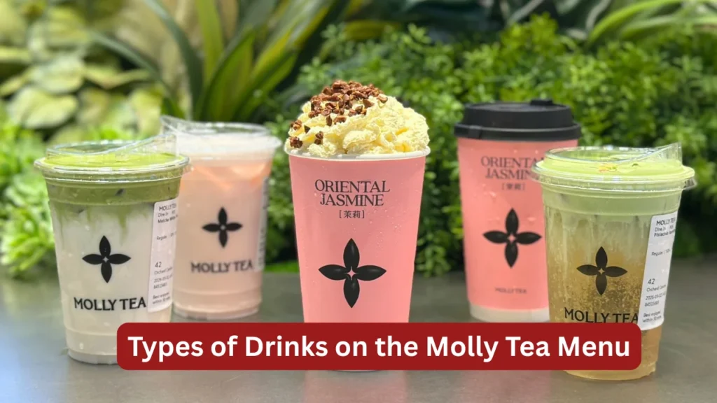 Types of Drinks on the Molly Tea Menu