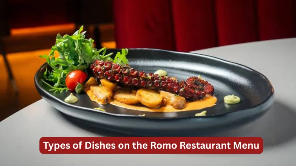 Types of Dishes on the Romo Restaurant Menu